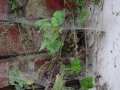 DSC_7671_mini