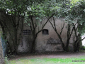 DSC_7731_mini