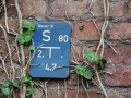 DSC_7966_mini