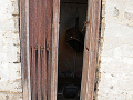 DSC_7253_mini