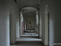 DSC_0169_mini