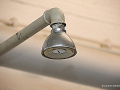 DSC_0145_mini