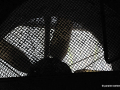 DSC_0279_mini