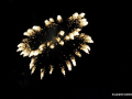 DSC_7062_mini