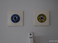 DSC_0137_mini