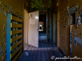 MK-5973-min