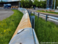 DSC_7804_mini