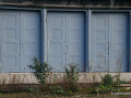 DSC_7456_mini