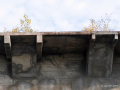 DSC_7496_mini