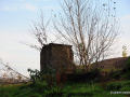 DSC_7538_mini
