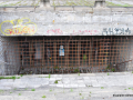 DSC_2662_mini