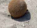 P1010361_mini