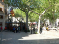 P1010446_mini