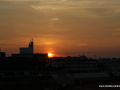 SONY DSC