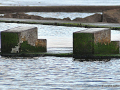 DSC_7666_mini