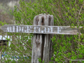 DSC_1617_mini