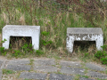 DSC_1658_mini