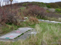 DSC_1661_mini