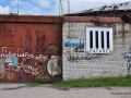 DSC_2264_mini-1
