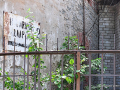DSC_2267_mini-1