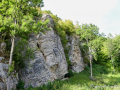 MK-0391-min