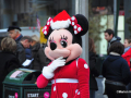 DSC_3914_mini
