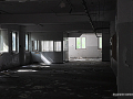DSC_6081_mini
