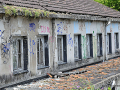DSC_6132_mini