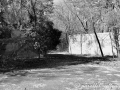 MK-0427-min