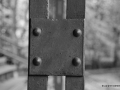 DSC_7592_mini
