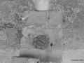 DSC_7600_mini