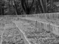 DSC_7655_mini