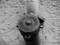 DSC_7673_mini