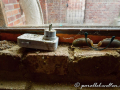 DSC_8671-min