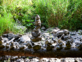 MK-0348-min