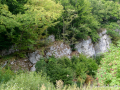MK-0371-min