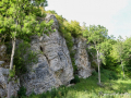 MK-0393-min