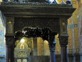 DSC_3120_mini