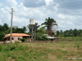 SONY DSC