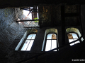 DSC_3647_mini