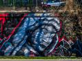 DSC_5640_mini
