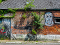 DSC_6786_mini