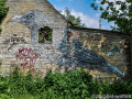 DSC_6886_mini