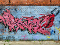 DSC_7001_mini