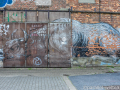 DSC_7042_mini