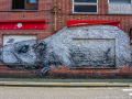 DSC_7074_mini