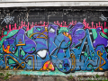 DSC_9610_mini