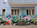 DSC_0171_mini