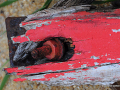DSC_6066_mini