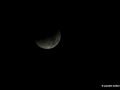 DSC_9195